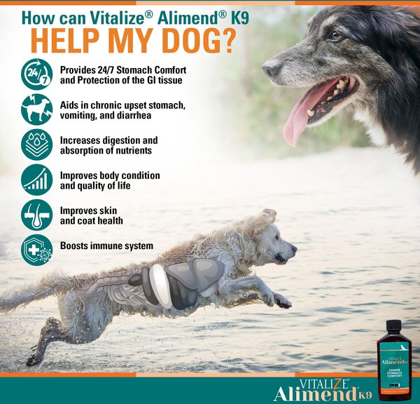 Vitalize Alimend K9 Canine Stomach Comfort & Protection Dog Supplement, 6-fl oz bottle