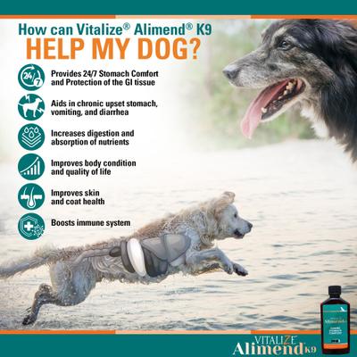 Show full view: Vitalize Alimend K9 Canine Stomach Comfort & Protection Dog Supplement, 6-fl oz bottle slide 6 of 7