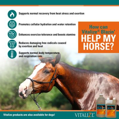 Show full view: Vitalize Blazin' Liquid Horse Supplement, 64-fl oz bottle slide 3 of 4