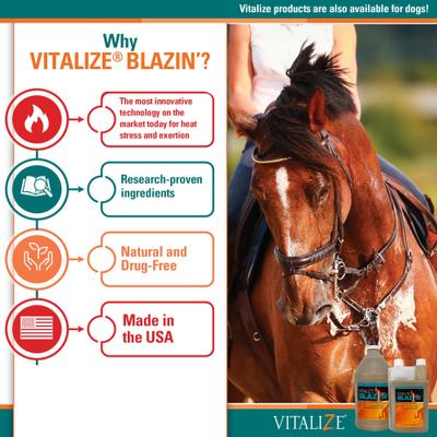 Show full view: Vitalize Blazin' Liquid Horse Supplement, 64-fl oz bottle slide 4 of 4