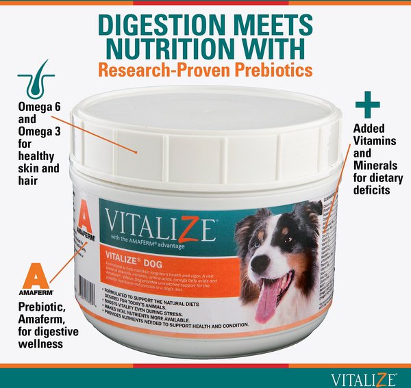 Vitalize Dog Supplement