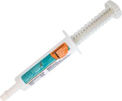 Vitalize Equine Vitamins Minerals Gel Horse, 20-ml tube