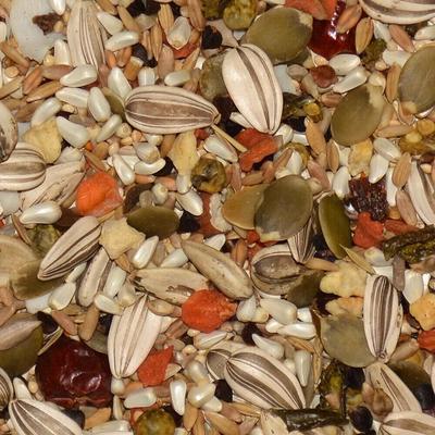 Show full view: Volkman Avian Science Eclectus Bird Food, 4-lb bag slide 2 of 3