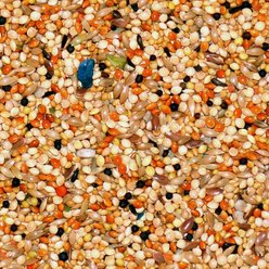 Volkman Avian Science Finch Food, 4-lb bag slide 2 of 2