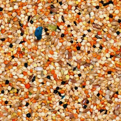 Show full view: Volkman Avian Science Finch Food, 4-lb bag slide 2 of 3