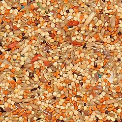 Volkman Avian Science Parakeet Food, 4-lb bag slide 2 of 2