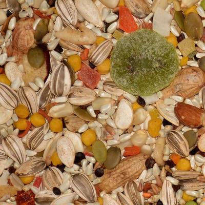 Show full view: Volkman Avian Science Parrot Food, 4-lb bag slide 2 of 3
