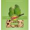 Show in main carousel: Volkman Avian Science Parrotlet Food, 4-lb bag slide 1 of 3