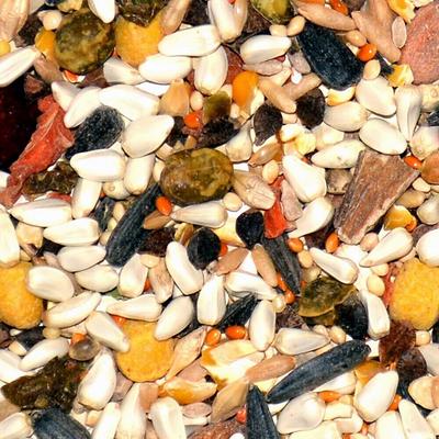 Show full view: Volkman Avian Science Parrotlet Food, 4-lb bag slide 2 of 3