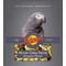 Show in main carousel: Volkman Avian Science Super African Grey Parrot & Amazon Parrot Food, 4-lb bag slide 1 of 3