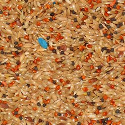 Volkman Avian Science Super Canary Food, 4-lb bag slide 2 of 2