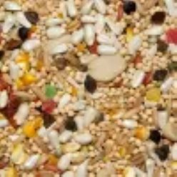 Volkman Avian Science Super Cockatiel No Sunflower Bird Food, 20-lb slide 2 of 2