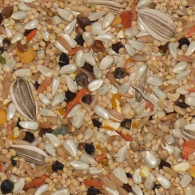 Show full view: Volkman Avian Science Super Sunflower Seed Cockatiel Food, 4-lb bag slide 2 of 3