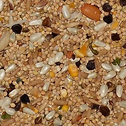 Volkman Avian Science Super Sunflower Seed-Free Cockatiel Food, 4-lb bag slide 2 of 7