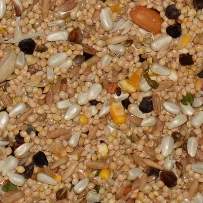 Show full view: Volkman Avian Science Super Sunflower Seed-Free Cockatiel Food, 4-lb bag slide 2 of 8