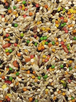Show full view: Volkman Featherglow Canary/Finch Bird Food, 4-lb slide 3 of 3