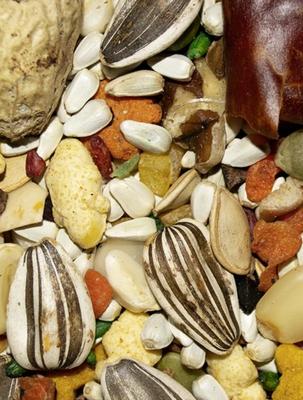 Show full view: Volkman Featherglow Large Parrot Bird Food, 4-lb slide 3 of 3