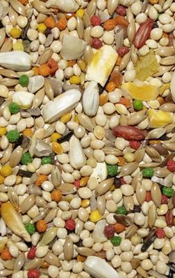 Show full view: Volkman Featherglow Parakeet Bird Food, 4-lb slide 3 of 3