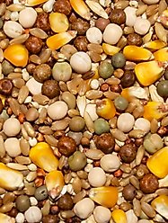 Volkman Winner's Cup Classic Whole Corn Pigeon Food, 50-lb slide 2 of 3