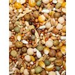 Leach Royal Race with Popcorn Pigeon Food, 50-lb bag