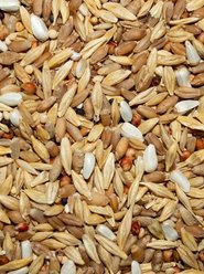 Volkman Winner's Cup Depurative Blend Pigeon Food, 50-lb slide 2 of 3