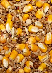 Volkman Winner's Cup Economy Whole Corn Pigeon Food, 50-lb slide 2 of 3