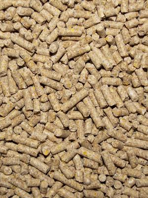 Show full view: Volkman Winners Cup Maintenance with Probiotics Pigeon Food, 40-lb slide 3 of 3