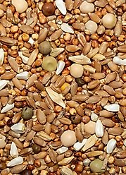 Volkman Winner's Cup No Corn Pigeon Food, 50-lb bag, 12.0% slide 2 of 3