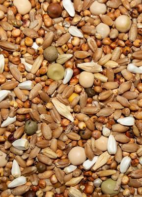 Show full view: Volkman Winner's Cup No Corn Pigeon Food, 50-lb bag, 12.0% slide 3 of 3