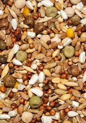 Volkman Winner's Cup No Corn Pigeon Food, 50-lb bag, 15.50% slide 2 of 3