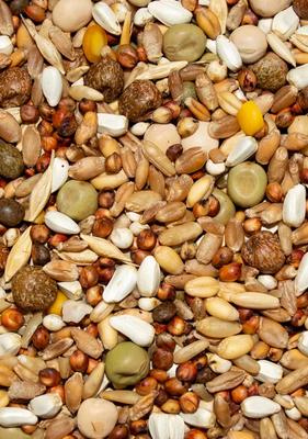 Show full view: Volkman Winner's Cup No Corn Pigeon Food, 50-lb bag, 15.50% slide 3 of 3