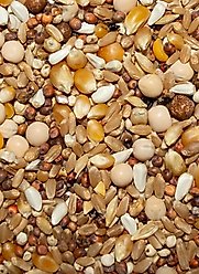 Volkman Winner's Cup Select with Popcorn Pigeon Food, 50-lb slide 2 of 3
