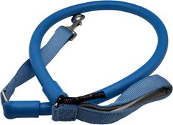 WACKYwalk'r WUNDER Rubber No-Pull Dog Leash, Blue, Large: 4.5-ft long, 3/4-in wide