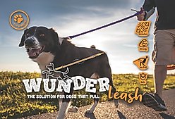 WACKYwalk'r WUNDER Rubber No-Pull Dog Leash, Purple, Medium: 4.5-ft long, 9/16-in wide slide 2 of 3