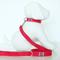 Show in main carousel: Wagberry Classic Dog Leash, Tribeca Red slide 5 of 5