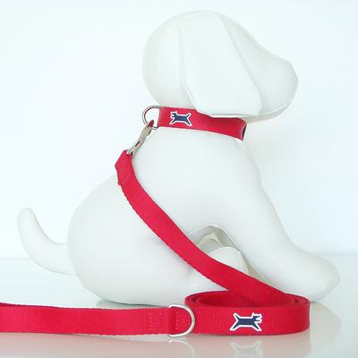 Show full view: Wagberry Classic Dog Leash, Tribeca Red slide 5 of 5