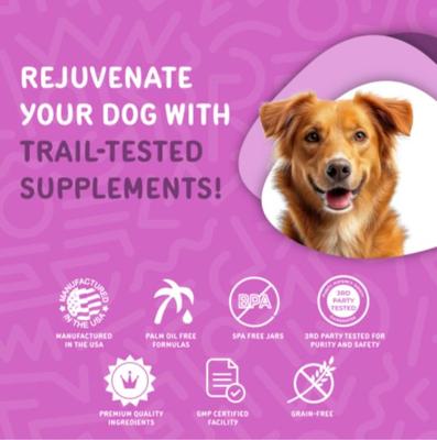 Show full view: waggedy Advanced Probiotics Beef Flavored Powder Digestive Aid for Dogs, 4-oz jar slide 8 of 8