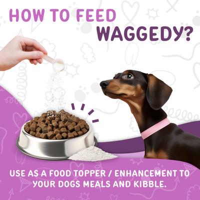 Show full view: waggedy Advanced Probiotics Beef Flavored Powder Digestive Aid for Dogs, 4-oz jar slide 6 of 8