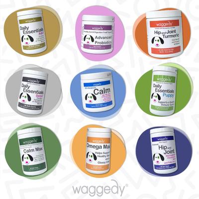 Show full view: waggedy Calm Stress & Anxiety Relief Melatonin Dog Supplement, 60 count slide 6 of 8