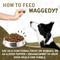 Show in main carousel: waggedy Daily Essentials Adult Multivitamin & Immune System Supporter Soft & Chewy Dog Treats, 120 count slide 6 of 8