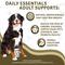 Show in main carousel: waggedy Daily Essentials Adult Multivitamin & Immune System Supporter Soft & Chewy Dog Treats, 120 count slide 3 of 8