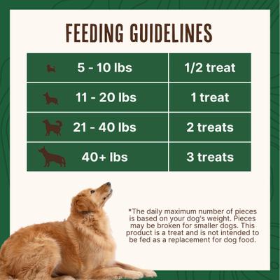 Show full view: Waggin' Train Smoked Chicken Jerky Tenders with Turmeric & Bone Broth Dog Treats, 12-oz bag slide 6 of 7