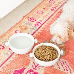 Waggo Bobble Ceramic Cat & Dog Bowl, Medium, Light Grey, 4-cup slide 2 of 4