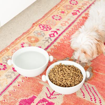 Show full view: Waggo Bobble Ceramic Cat & Dog Bowl, Medium, Light Grey, 4-cup slide 2 of 4