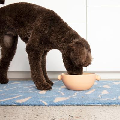 Show full view: Waggo Bobble Ceramic Cat & Dog Bowl, Medium, Rose, 4-cup slide 2 of 5