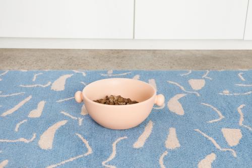 Show full view: Waggo Bobble Ceramic Cat & Dog Bowl, Medium, Rose, 4-cup slide 3 of 5