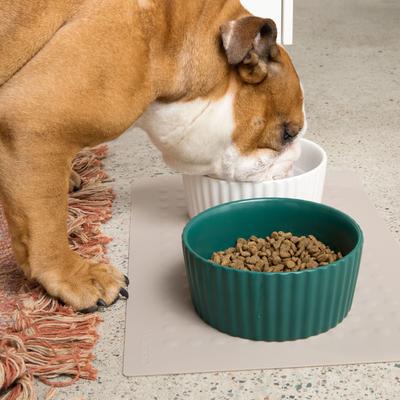 Show full view: Waggo Bubble Silicone Non-skid Dog & Cat Placemat, Charcoal slide 2 of 9
