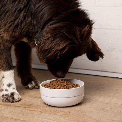 Show full view: Waggo Cling Non-Skid Silicone Bottom Dog & Cat Bowl, White, Large, 8-cup slide 4 of 7