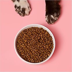 Waggo Cling Non-Skid Silicone Bottom Dog & Cat Bowl, White, Small, 4-cup slide 2 of 6