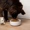 Show in main carousel: Waggo Cling Non-Skid Silicone Bottom Dog & Cat Bowl, White, Small, 4-cup slide 4 of 7